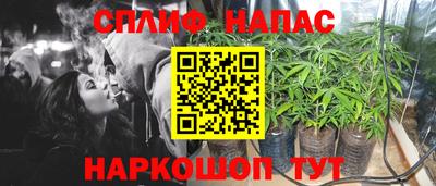 дурь Новодвинск