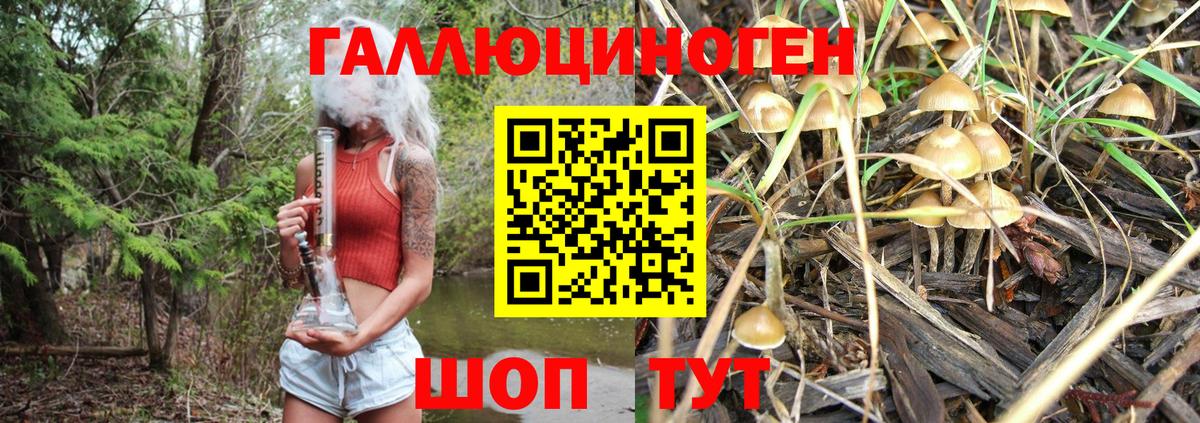 Псилоцибиновые грибы Psilocybine cubensis  Вход с VPN  Псилоцибиновые грибы Cubensis  где купить наркоту  Ярцево 